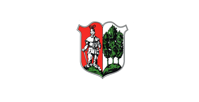 Wappen Oelsnitz