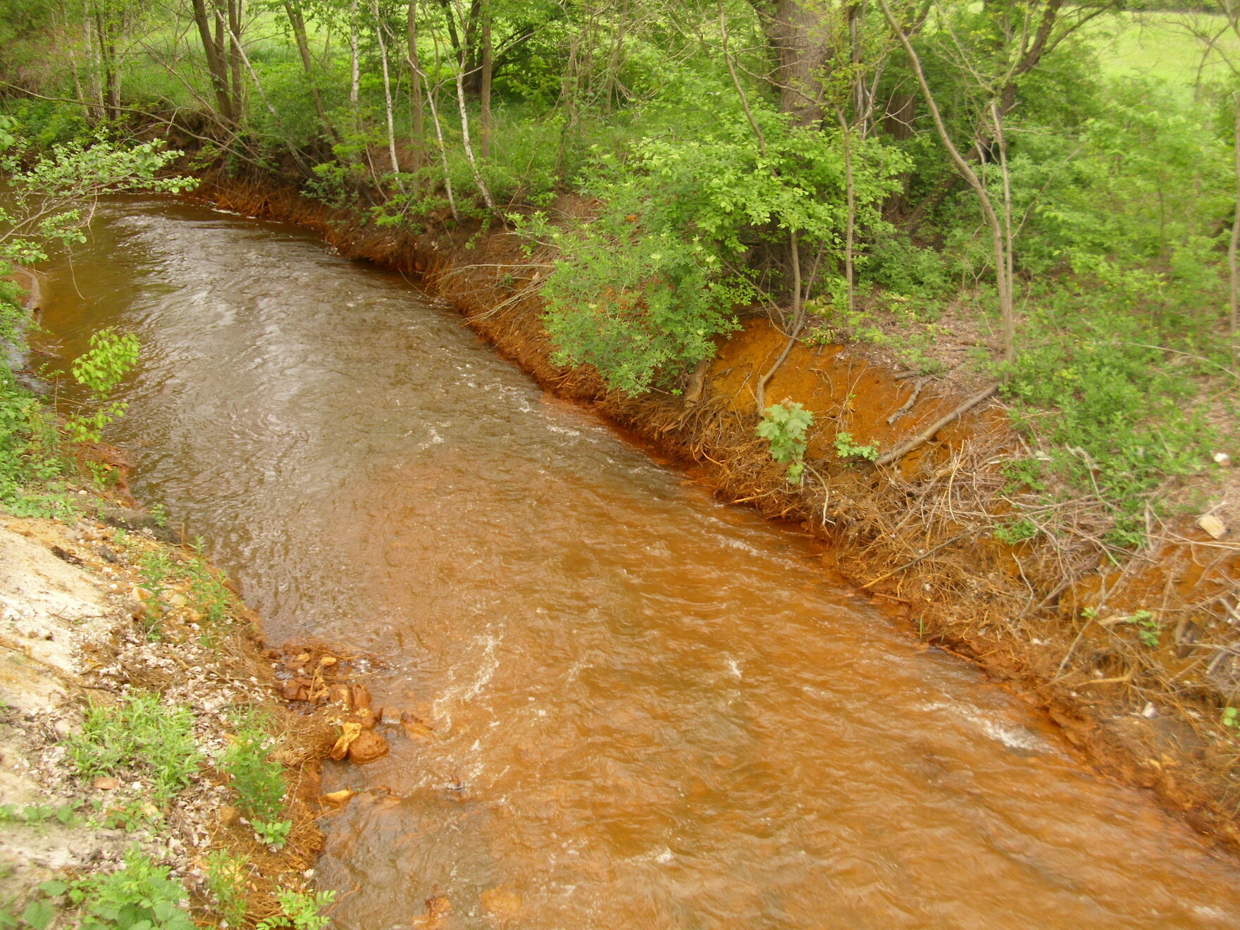 Kleine Spree bei Spreewitz