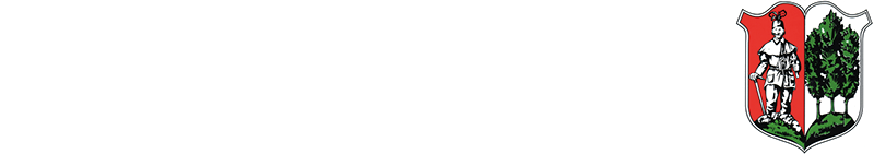 Logo Oelsnitz/Erzgeb.